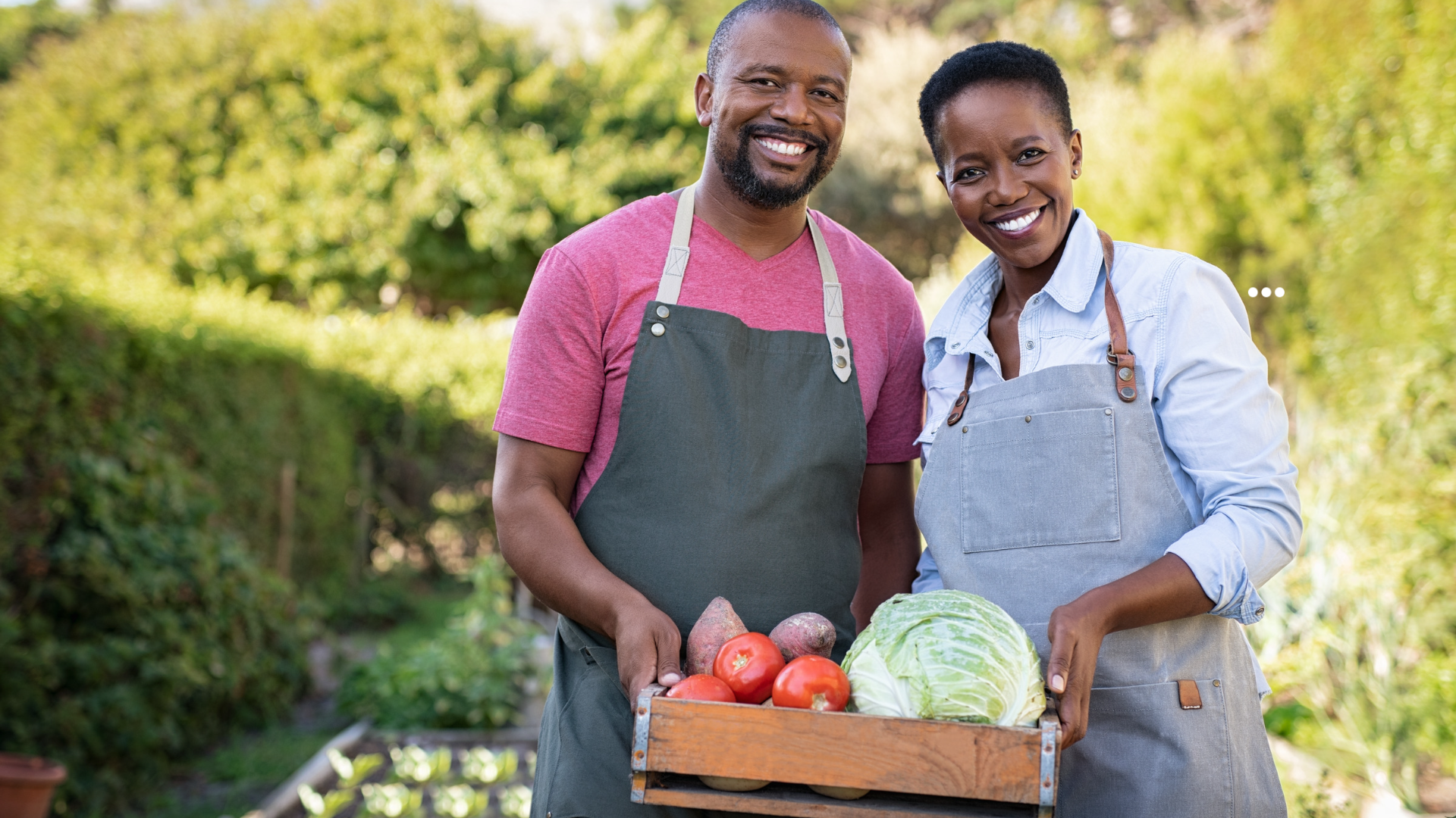 Small business owner, Meeticks